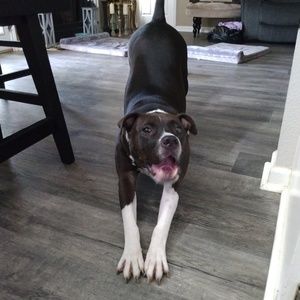 Meet your Posher, Nayelly